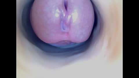 Paula 18 Aninhos online show from April 7, 2026, 12:11 am