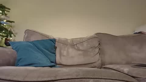 Snapshot of pauleyheron chatting on December 16, 2024, 8:05 pm pugwall22 online show from December 16, 2024, 8:05 pm