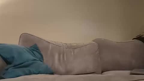 Snapshot of pauleyheron chatting on February 10, 2025, 7:49 pm pugwall22 online show from February 10, 2025, 7:49 pm