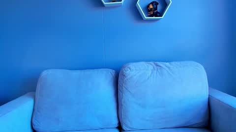 Snapshot of paulphoenix_ chatting on October 5, 2025, 8:07 pm Paul Phoenix online show from October 5, 2025, 8:07 pm