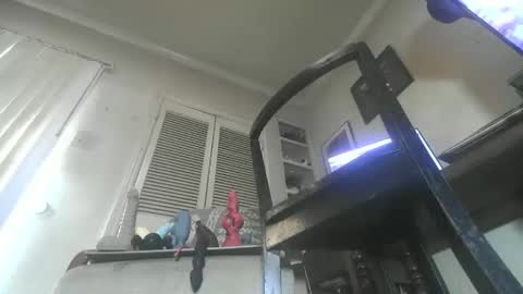 Paulvert online show from November 27, 2025, 8:11 pm