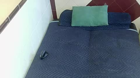 paupam online show from October 20, 2025, 6:52 pm