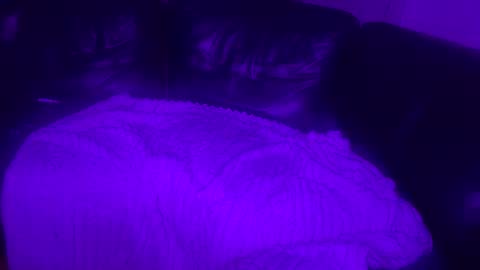 Snapshot of paybarbi chatting on November 16, 2025, 7:14 am paybarbi online show from November 16, 2025, 7:14 am