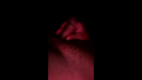 Snapshot of pedro_0305 chatting on May 31, 2026, 7:48 am pedro_0305 online show from May 31, 2026, 7:48 am