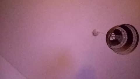 penesvoladores92 online show from February 28, 2026, 1:39 am