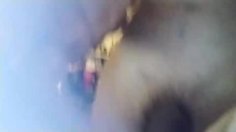 pepegrillo20209 online show from January 14, 2025, 7:48 am