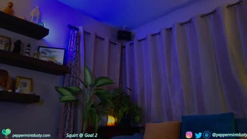 Snapshot of peppermintdusty chatting on December 19, 2024, 4:13 am Peppermint and Dusty online show from December 19, 2024, 4:13 am