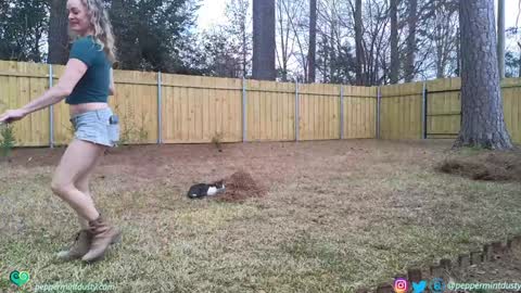 Peppermint and Dusty  online show from March 3, 2026, 7:42 pm