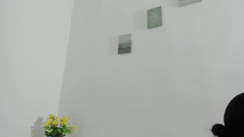 Snapshot of perla_mistc chatting on April 10, 2026, 4:44 pm Perla mistc online show from April 10, 2026, 4:44 pm