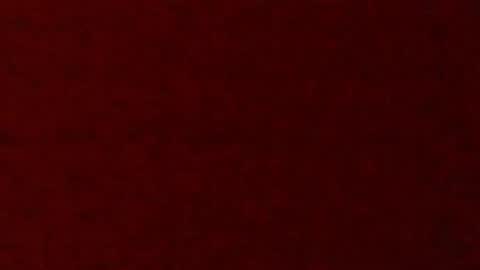 peron88 online show from January 10, 2025, 11:08 pm