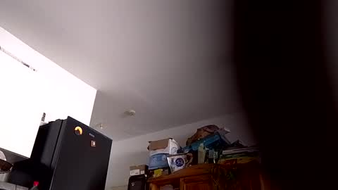 Snapshot of perseponi chatting on November 23, 2025, 12:05 pm perseponi online show from November 23, 2025, 12:05 pm