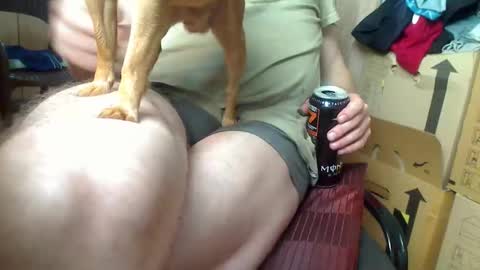 peta000007 online show from October 14, 2025, 12:50 pm