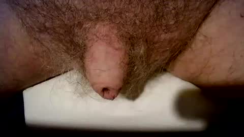 Snapshot of peterpeteropoulos chatting on October 21, 2025, 6:41 pm peterpeteropoulos online show from October 21, 2025, 6:41 pm