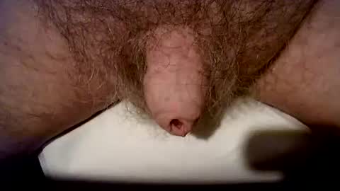 Snapshot of peterpeteropoulos chatting on October 24, 2025, 6:37 pm peterpeteropoulos online show from October 24, 2025, 6:37 pm