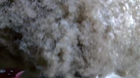 Snapshot of petitecaramell chatting on November 5, 2025, 11:05 pm Caramel online show from November 5, 2025, 11:05 pm