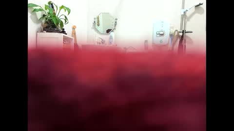 petrol63102 online show from February 18, 2026, 9:38 am