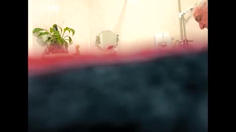 petrol63102 online show from February 19, 2026, 9:38 am