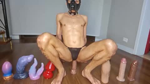 petsexboy online show from June 10, 2026, 1:28 am