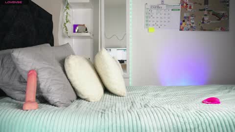 Pettercat online show from January 23, 2025, 2:39 pm