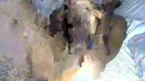 Snapshot of pettite_cora1 chatting on May 13, 2026, 11:40 am pettite_cora1 online show from May 13, 2026, 11:40 am