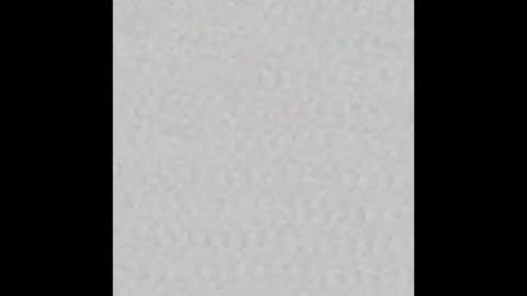 peytonn_monroe online show from November 11, 2025, 12:27 pm