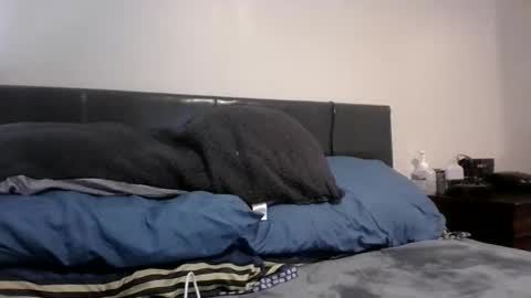 phantomfreakbbc online show from February 10, 2026, 4:38 am