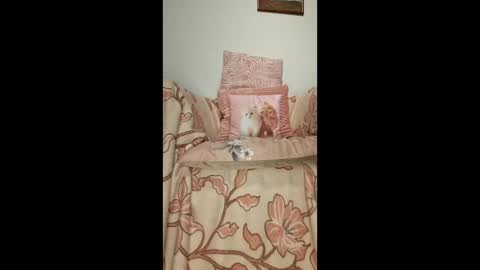 philos1979 online show from January 19, 2026, 1:31 am