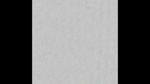 Snapshot of piledriver3469 chatting on November 1, 2025, 1:57 pm piledriver3469 online show from November 1, 2025, 1:57 pm