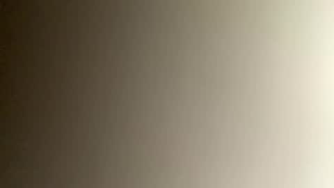 Snapshot of pimptheride chatting on December 3, 2024, 10:51 pm Bee online show from December 3, 2024, 10:51 pm