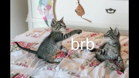 Snapshot of pink_girl0n chatting on October 19, 2025, 8:42 pm Kitty online show from October 19, 2025, 8:42 pm