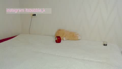 Snapshot of pink_pikachu_ chatting on March 4, 2025, 11:00 pm Pikachu pika online show from March 4, 2025, 11:00 pm