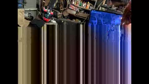 FuckUpayMe online show from February 9, 2026, 7:23 am