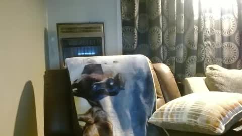 Snapshot of pirate334 chatting on January 7, 2026, 11:29 pm pirate334 online show from January 7, 2026, 11:29 pm