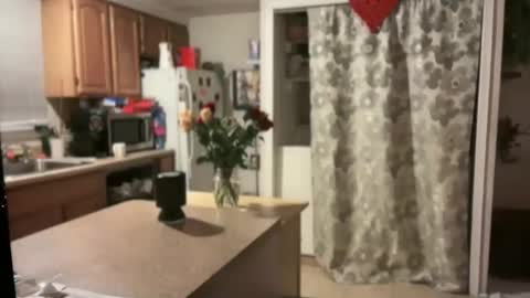 Snapshot of pirdybirdyxo chatting on January 30, 2025, 4:06 am pirdybirdyxo online show from January 30, 2025, 4:06 am