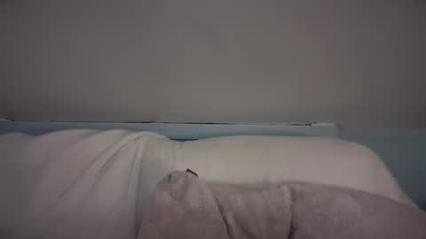 Snapshot of pirdybirdyxo chatting on February 26, 2025, 3:42 am pirdybirdyxo online show from February 26, 2025, 3:42 am