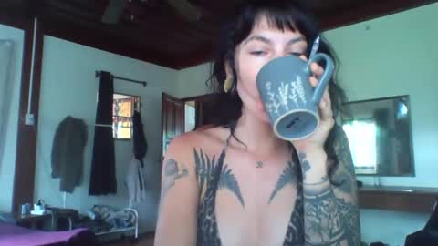 Snapshot of pixiecatfairy chatting on November 13, 2025, 2:21 am pixiecatfairy online show from November 13, 2025, 2:21 am