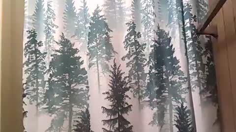 SEX ADDICTION WANNA MEET online show from December 12, 2024, 2:37 am