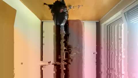 Snapshot of playdog123 chatting on October 12, 2025, 1:21 pm playdog123 online show from October 12, 2025, 1:21 pm