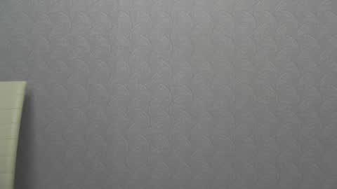 Snapshot of playful_goldie chatting on January 5, 2025, 2:52 pm Goldie online show from January 5, 2025, 2:52 pm