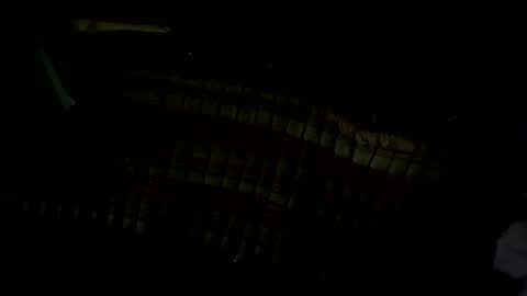 Snapshot of pleaseownme2 chatting on September 13, 2025, 1:11 pm pleaseownme2 online show from September 13, 2025, 1:11 pm