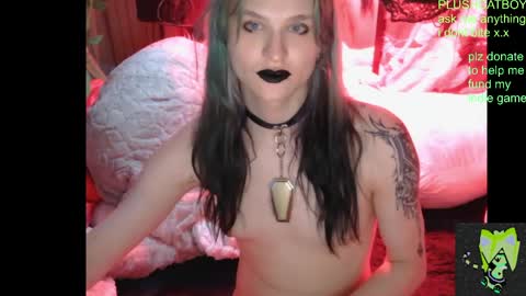 Snapshot of plushcatboy chatting on April 21, 2026, 4:08 am plushcatboy online show from April 21, 2026, 4:08 am