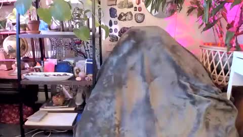 Goddess Pluto online show from January 8, 2025, 8:07 pm