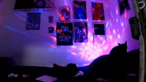    online show from June 30, 2026, 11:50 pm