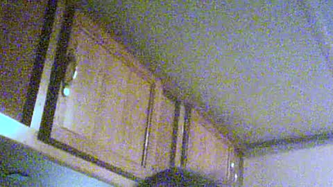 Snapshot of podzimek chatting on June 21, 2026, 4:04 am podzimek online show from June 21, 2026, 4:04 am