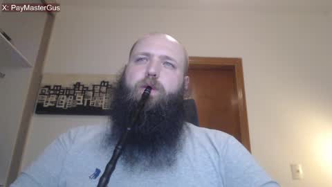 Bear online show from April 15, 2026, 4:41 am