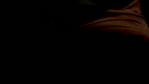 Snapshot of polarbear49 chatting on January 28, 2025, 12:32 pm PolarBear49 online show from January 28, 2025, 12:32 pm