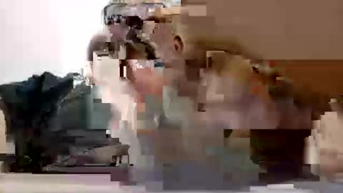 poli online show from February 27, 2026, 7:14 pm