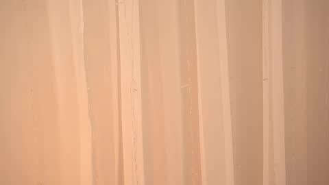    online show from January 14, 2026, 10:10 am