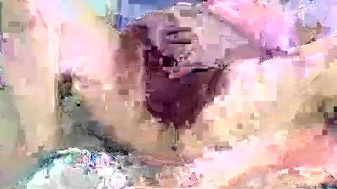 Snapshot of poundittt chatting on September 14, 2025, 2:22 am dikud0wn online show from September 14, 2025, 2:22 am