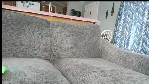 powerstroke345 online show from March 7, 2026, 4:15 pm